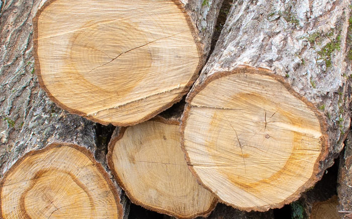 雲南市　里山の薪(40cm) 20kg まき 焚火 暖炉 キャンプ アウトドア 島根県雲南市/合同会社グリーンパワーうんなん [AIBL007]