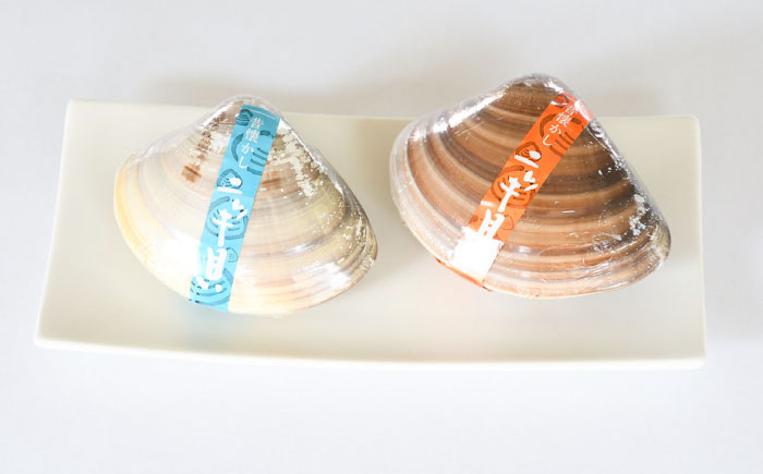 西八製菓 ニッキ貝 10個 だがし おやつ  島根県雲南市/西八製菓株式会社[AICA006]