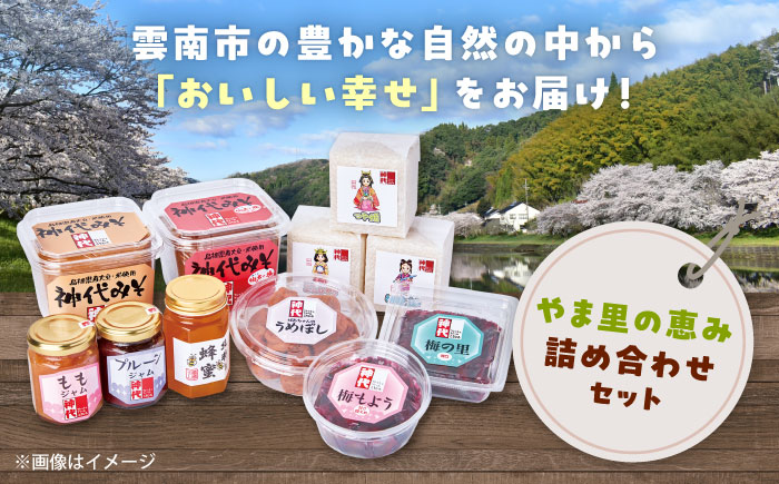 ３種の米を食べ比べ! 「やま里の恵み」詰合セット 米 こしひかり つや姫 きぬむすめ 梅 味噌 ジャム はちみつ 島根県雲南市/農事組合法人フレッシュファーム神代 [AICC002]