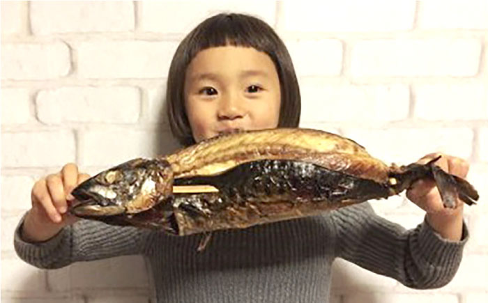 【郷土料理】焼さば 3本 | 焼さば 魚 さば 焼き魚 郷土料理 塩さば 鯖 さば 冷凍 食品 小分け 大容量 人気 魚 魚介 海鮮 弁当 惣菜 贈答 プレゼント ギフト お取り寄せ グルメ 島根県雲南市/長谷川鮮魚店 [AICG004]