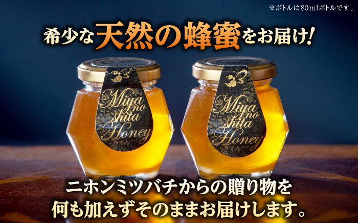 希少な天然日本ミツバチの「はちみつ」 80ml×2個 島根県雲南市/みやのしたハチミツ｜蜂蜜 国産 はちみつ ハチミツ[AICL001]