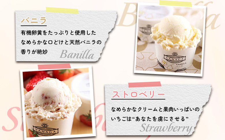 VANAGAプレミアムご当地アイス24個とアイス専用スプーン（ゴールド1本・シルバー1本）の26点セット | アイスクリーム アイス 濃厚 バニラ デザート 島根県雲南市/やまざと.com[AICN003]