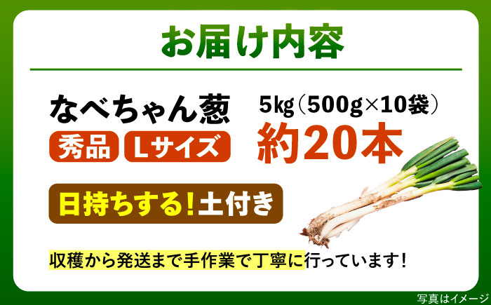 【2025年11月発送開始】焼いてそのまま美味しい！なべちゃん葱（土付き）秀品 Lサイズ5kg（500g×10袋）約20本 ねぎ ネギ 島根県雲南市/山さんファーム [AICO002]