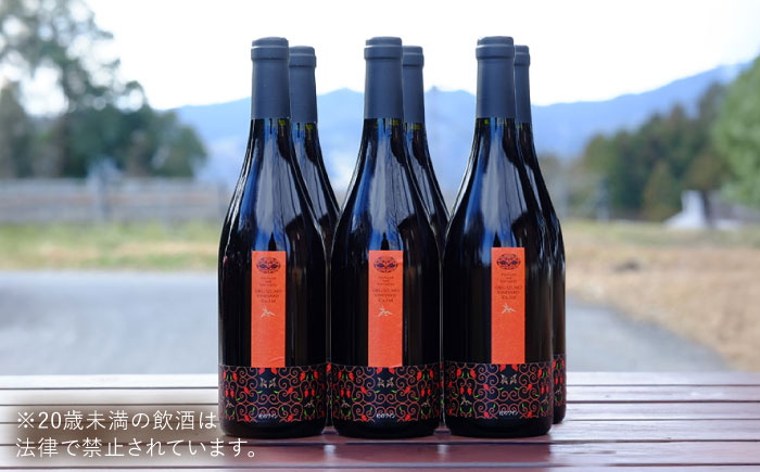 奥出雲葡萄園 杜のワイン赤　6本セット  国産 ワイン セット 島根県雲南市/有限会社奥出雲葡萄園 [AICS001]