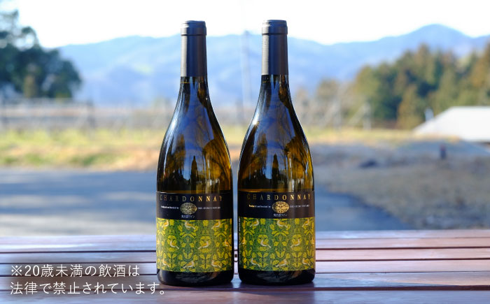奥出雲葡萄園 シャルドネ（白ワイン）　2本セット   国産 ワイン セット 島根県雲南市/有限会社奥出雲葡萄園 [AICS019]