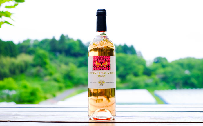 奥出雲葡萄園 カベルネソーヴィニヨン・ロゼ  国産 ワイン セット 島根県雲南市/有限会社奥出雲葡萄園 [AICS024]