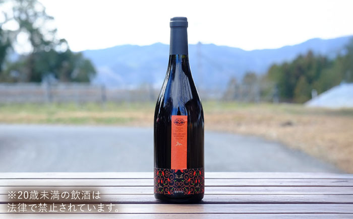 奥出雲葡萄園 杜のワイン 赤 1本   国産 ワイン セット 島根県雲南市/有限会社奥出雲葡萄園 [AICS044]