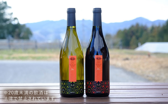 杜のワイン白・赤 2本セット  国産 ワイン セット 島根県雲南市/有限会社奥出雲葡萄園 [AICS046]