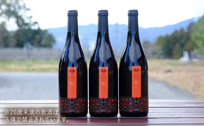 杜のワイン 赤 3本セット 国産 ワイン セット 島根県雲南市/有限会社奥出雲葡萄園 [AICS048]