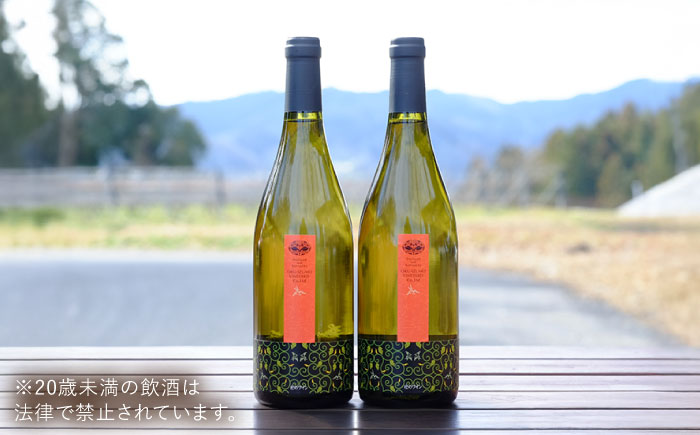 杜のワイン 白　2本セット 国産 ワイン セット 島根県雲南市/有限会社奥出雲葡萄園 [AICS053]