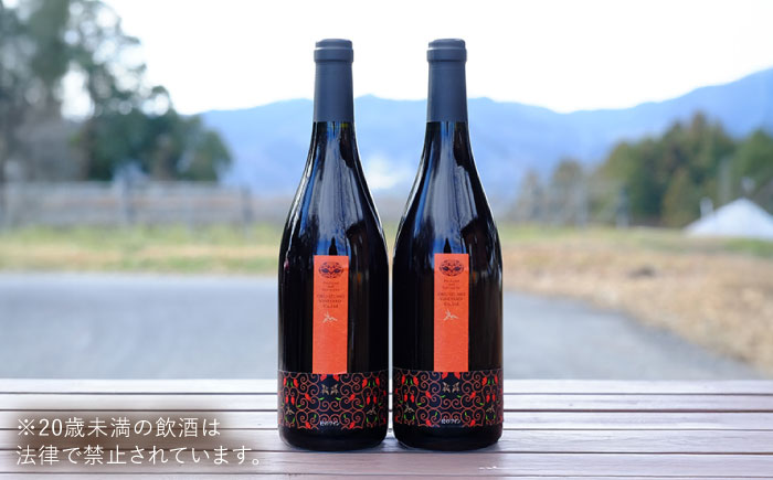 杜のワイン 赤 2本セット 国産 ワイン セット 島根県雲南市/有限会社奥出雲葡萄園 [AICS060]