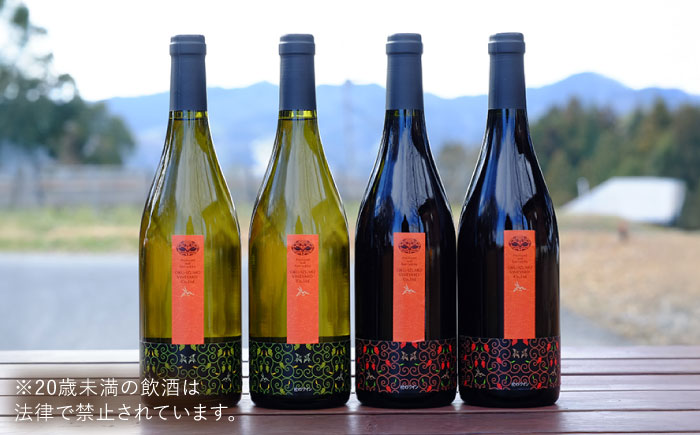 杜のワイン 白・赤 各2本セット 国産 ワイン セット 島根県雲南市/有限会社奥出雲葡萄園 [AICS062]