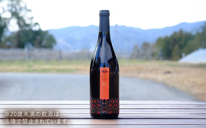 杜のワイン 赤と木次乳業チーズセット   国産 ワイン セット 島根県雲南市/有限会社奥出雲葡萄園 [AICS086]