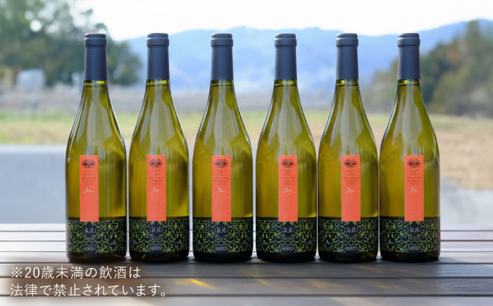 杜のワイン白 6本セット 白ワイン 辛口 お酒 セット ぶどう 島根県雲南市/有限会社奥出雲葡萄園 [AICS093]