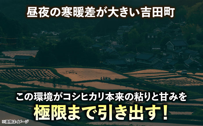 【全3回定期便】【新米】吉田げんき米コシヒカリ 5kg 島根県雲南市/有限会社藤本米穀店 ｜こしひかり 白米 精米 コメ 5キロ [AIDB120]