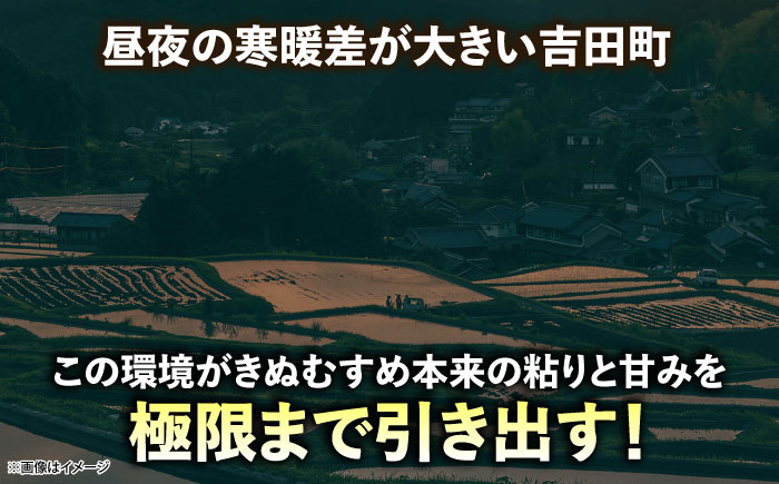 【全3回定期便】【新米】吉田げんき米きぬむすめ 5kg 島根県雲南市/有限会社藤本米穀店 ｜ブランド米 きぬ娘 白米 精米 コメ 5キロ [AIDB132]