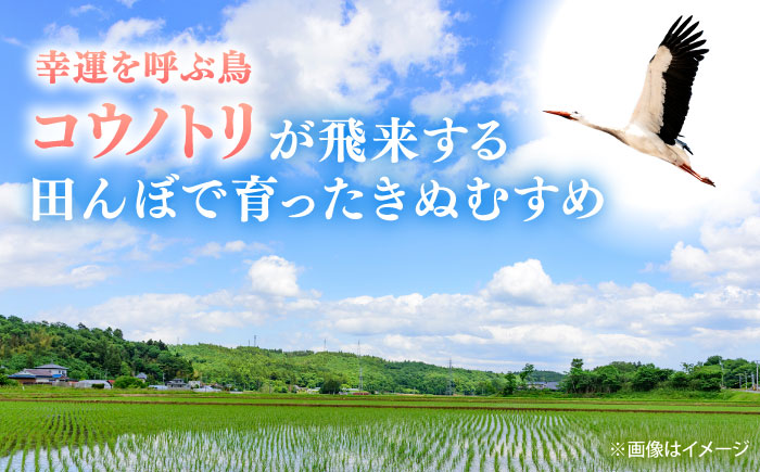 【新米】大月谷コウノトリやすらぎ米 2kg 島根県雲南市/有限会社藤本米穀店 ｜ブランド米 きぬむすめ 白米 精米 コメ 2キロ [AIDB134]
