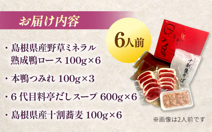 希少な国産鴨肉！島根県産野草ミネラル熟成鴨の鴨鍋セット（6人前）【美味しい食べ方レシピ付き】十割蕎麦 そば 鴨鍋 しゃぶしゃぶ 島根県雲南市/鴨専門店カナール [AIDC007]