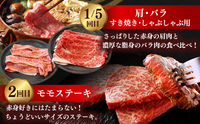 【全5回定期便】肉質日本一！しまね和牛 寄附額10万円分 計2kg 食べ比べ セット 和牛 牛肉 ステーキ 焼肉 島根県雲南市/Do corporation株式会社 [AIDI017]