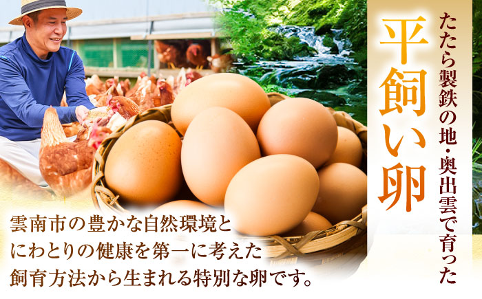 黄身の濃厚なコクと白身の甘み！たたらの里平飼い 彩り天佑卵 30個入り（10個×3P）たまご 卵 放牧卵 平飼い卵 新鮮 国産 島根県雲南市/株式会社たなべたたらの里（たなべ森の鶏舎） [AIDL001]