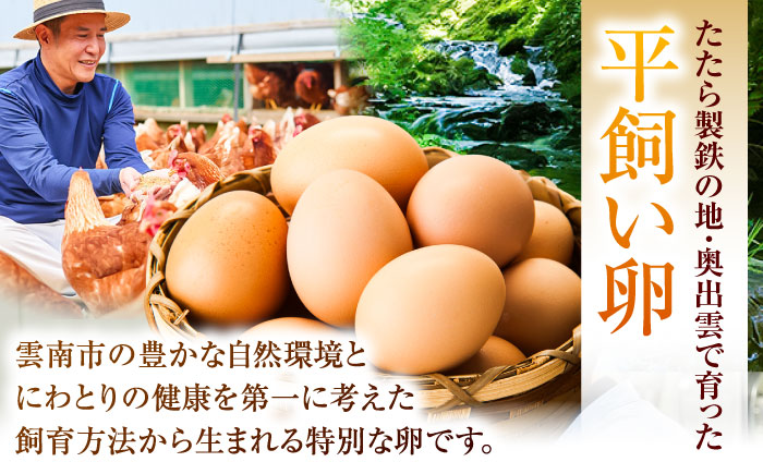 《月2回 × 20個 1ヶ月コース》 たたらの里平飼い 彩り天佑卵 全2回定期便 島根県雲南市/株式会社たなべたたらの里（たなべ森の鶏舎）｜たまご 卵 放牧卵 平飼い卵 新鮮 国産 定期便 [AIDL020]