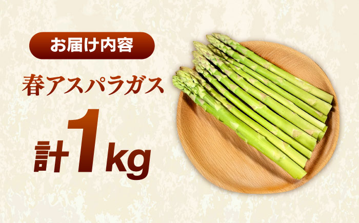 【先行予約】【2026年4月以降発送】春アスパラガス 1kg 島根県雲南市/tasten 野菜 アスパラ 数量限定 10個 [AIEJ001]