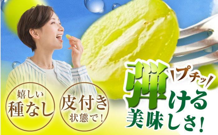 【2026年先行予約】【30個限定】【ご自宅用】旬の味わいを産地直送で！シャインマスカット 2房（約1kg）簡易包装 訳あり 島根県雲南市/ギアファーム [AIAB002]