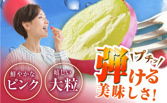 【2026年先行予約】【30個限定】【ご自宅用】リピーターが続出中！クイーンニーナ 1房（約450g）簡易包装 訳あり 島根県雲南市/ギアファーム [AIAB006]