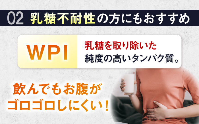 ALPRON PRO WPI プロテイン 900g ダブルリッチチョコレート風味 1個 筋トレ 健康 チョコ 島根県雲南市/株式会社アルプロン [AIAL070]