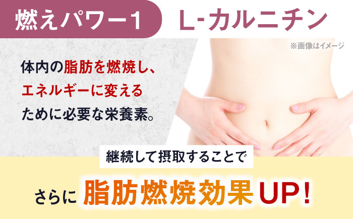 ALPRON SLIM 燃え燃え 450g グレープフルーツ風味 1個 筋トレ 健康 サプリ 島根県雲南市/株式会社アルプロン [AIAL084]