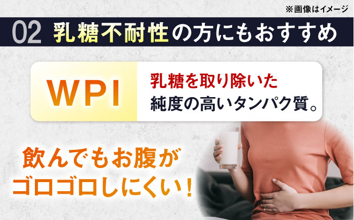 【全12回定期便】ALPRON PRO WPI プロテイン 900g ダブルリッチチョコレート風味 1個 筋トレ 健康 チョコ 島根県雲南市/株式会社アルプロン [AIAL113]