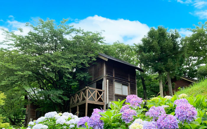 かみくの桃源郷4人用コテージ宿泊券（1泊） 宿泊 チケット 島根県雲南市/株式会社かみくの桃源郷[AIAN002]