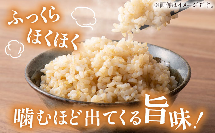 【先行予約】【2025年11月より発送】新米 上久野産コシヒカリ 玄米 10kg 産地直送 島根県雲南市/株式会社かみくの桃源郷[AIAN003]玄米