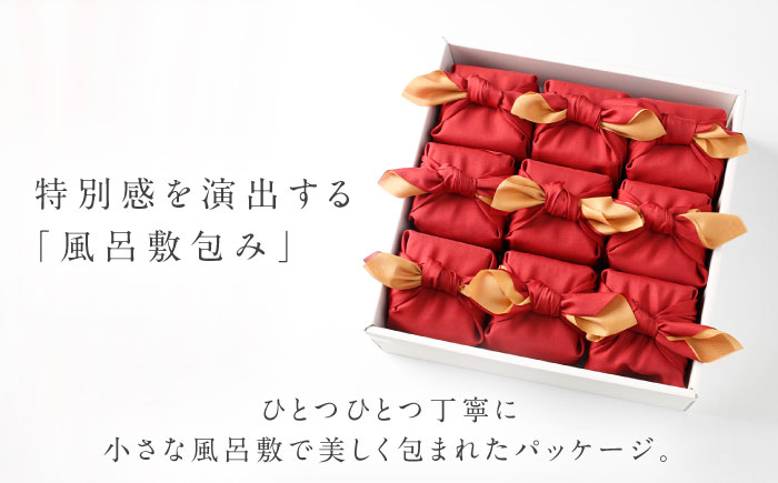 雲南市産つや姫 奥出雲NAORAI 瑞穂米 真空キューブ米 2合×9個セット 計2.7kg 米 コメ 白米 ギフト プレゼント 島根県雲南市/たなべの匠味 [AIBD011]