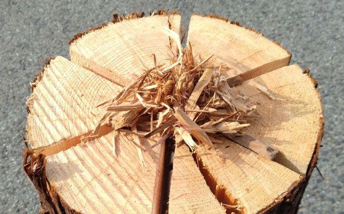 雲南市産スウェーデントーチ（着火チップ付）スギ・ヒノキ キャンプ 焚き火 調理 着火簡単 長時間燃焼 島根県雲南市/合同会社グリーンパワーうんなん [AIBL009]