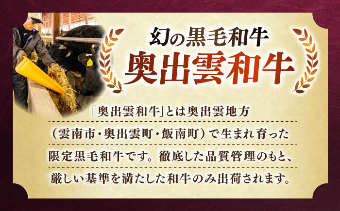 【全12回定期便】【奥出雲和牛】サーロインステーキ 600g(200×3枚) ブランド牛 焼肉 霜降り 高級 人気 ギフト おすすめ 島根県雲南市/島根県農業協同組合　雲南地区本部 畜産加工所 [AIBQ022]