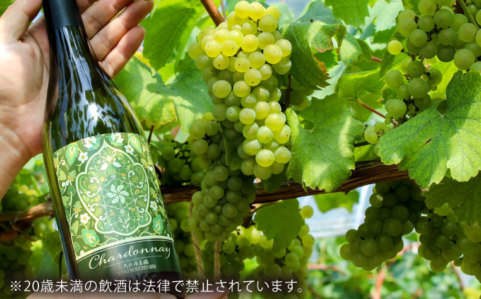 尺の内農園ワイン シャルドネ 3本セット | ワイン シャルドネ 3本セット おすすめ 人気 島根県雲南市/社会福祉法人　あおぞら福祉会 [AIBU004]