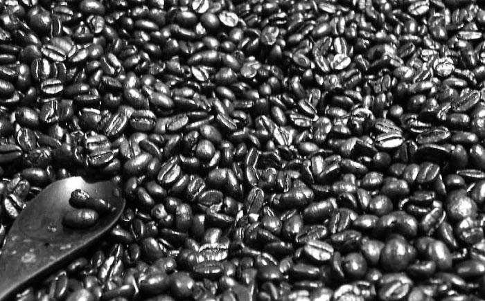 【豆】【全12回定期便】自家焙煎 シングルオリジン コーヒー豆 100g×1種類 選べる豆/粉 手廻しロースター 長時間焙煎 島根県雲南市/つちのと舎 コーヒー 珈琲 [AIBY001-1] 豆