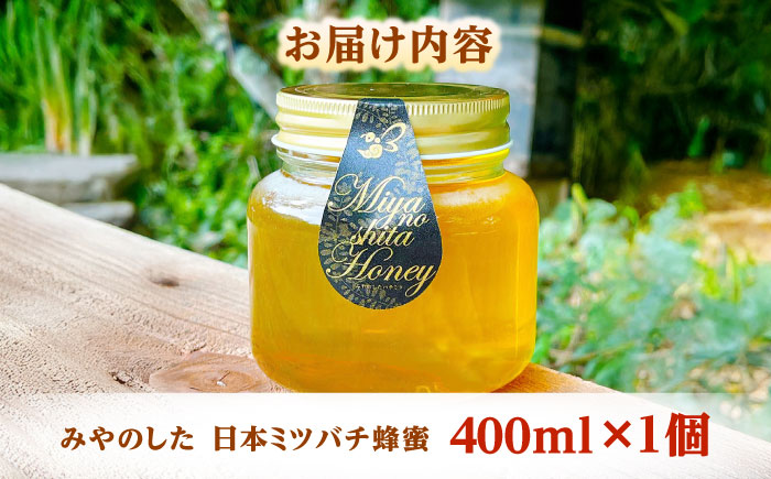 希少な天然日本ミツバチの「はちみつ」 400ml×1個 島根県雲南市/みやのしたハチミツ｜蜂蜜 国産 はちみつ ハチミツ[AICL002]