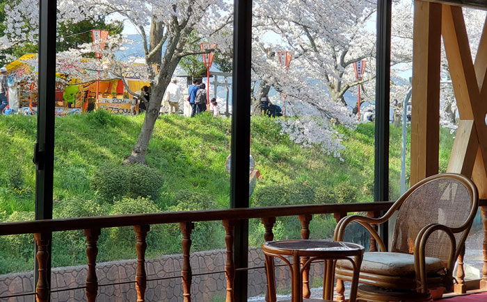 【本館】桜と日本庭園の老舗旅館「天野館」宿泊券(1名様・1泊お食事なし)  島根県雲南市/有限会社 天野館 [AICP001]