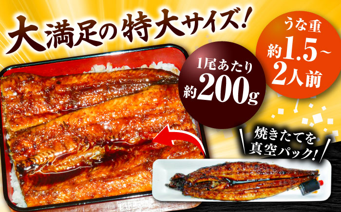 【うなぎの美味しさはタレで決まる！】自慢の味・国産活うなぎ蒲焼（2本入）| うなぎ タレ 蒲焼 国産 美味しい うな丼 鰻重 魚 島根県雲南市/有限会社石田魚店 [AICQ005]