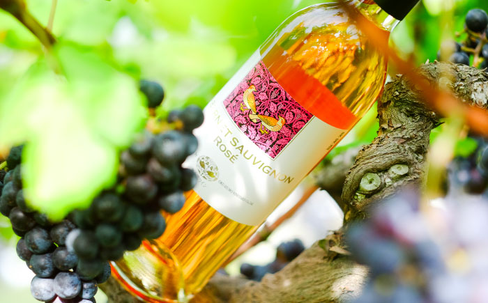 奥出雲葡萄園 カベルネソーヴィニヨン・ロゼ  3本セット  国産 ワイン セット 島根県雲南市/有限会社奥出雲葡萄園 [AICS022]