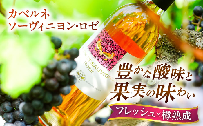 【家庭用】飲み比べセット カベルネロゼ×シャルドネ 750ml×各1本 計2本 ワイン お酒 ぶどう 島根県雲南市/有限会社奥出雲葡萄園 [AICS087]