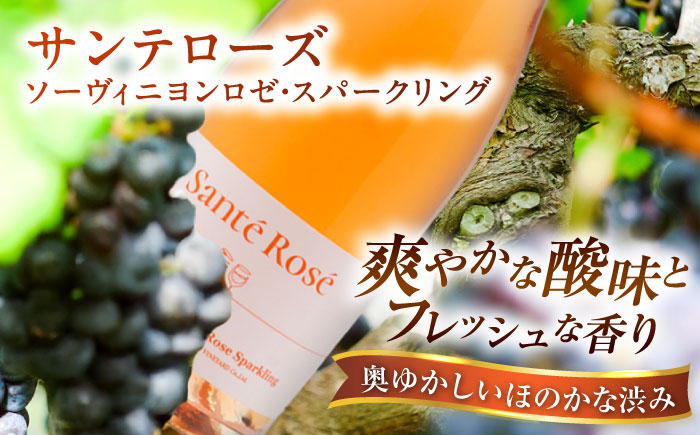 【2025年新作】サンテローズ（カベルネソーヴィニヨンロゼ・スパークリング）750ml×1本 ワイン お酒 ぶどう 島根県雲南市/有限会社奥出雲葡萄園 [AICS090]