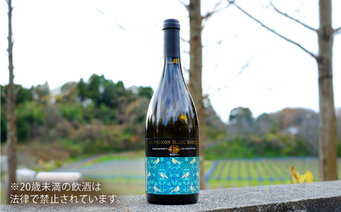 ソーヴィニヨンブランバレル 3本 750ml×3 白ワイン 樽熟成 国産 島根県雲南市/有限会社奥出雲葡萄園 [AICS117]