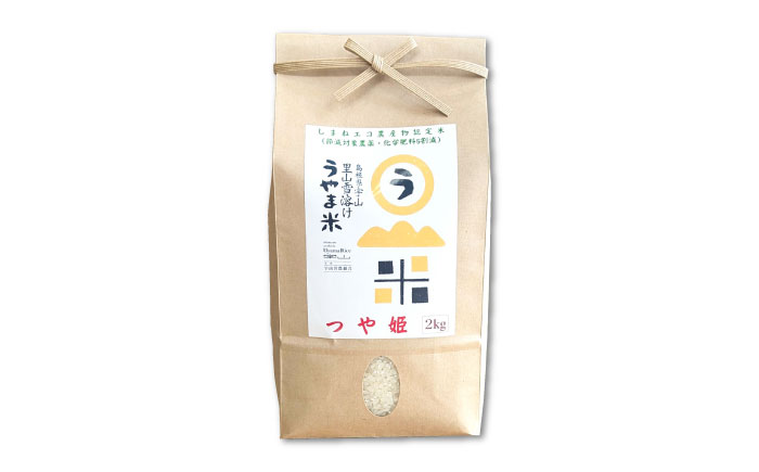 【全3回定期便】【無洗米】神話の里/吉田町「うやま米」つや姫 10kg（2kg×5） [AIDB097]