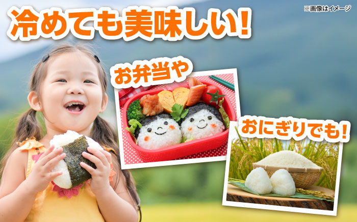 吉田げんき米きぬむすめ 10kg（5kg×2袋） [AIDB130]