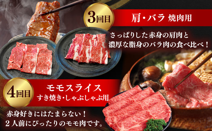 【全5回定期便】肉質日本一！しまね和牛 寄附額10万円分 計2kg 食べ比べ セット 和牛 牛肉 ステーキ 焼肉 島根県雲南市/Do corporation株式会社 [AIDI017]