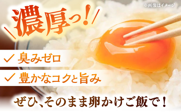 【全6回定期便】黄身の濃厚なコクと白身の甘み！たたらの里平飼い 彩り天佑卵 10個入り（10個×1P）たまご 卵 放牧卵 平飼い卵 新鮮 国産 島根県雲南市/株式会社たなべたたらの里（たなべ森の鶏舎） [AIDL008]