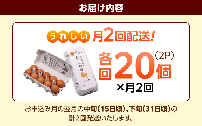 《月2回 × 20個 1ヶ月コース》 たたらの里平飼い 彩り天佑卵 全2回定期便 島根県雲南市/株式会社たなべたたらの里（たなべ森の鶏舎）｜たまご 卵 放牧卵 平飼い卵 新鮮 国産 定期便 [AIDL020]
